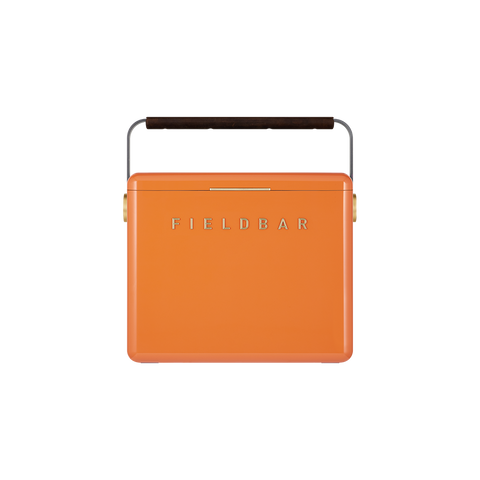 Gin Trunk / Orchard Orange